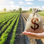 乐小阁团队：有效任务已达6000多个，感谢大家的支持！